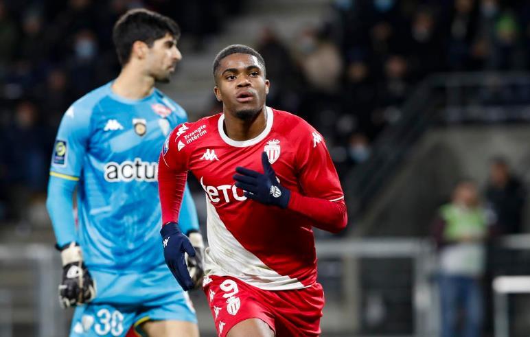 无论是布鲁 无论是布鲁